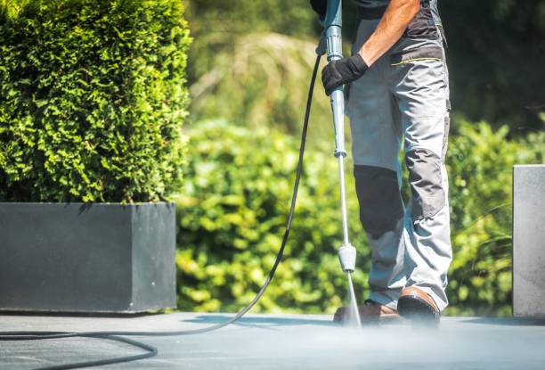 Best Solar Panel Cleaning  in Emerson, GA